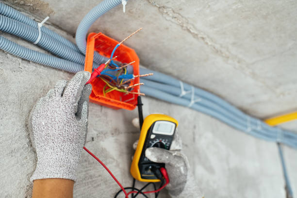Best Ceiling Fan Installation Electrician  in Dawsonville, GA